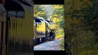 Iron Horse Fall Foliage Ramble Passenger POV Reading amp Northern T1 2102 steamengine steamtrain [upl. by Alleusnoc]