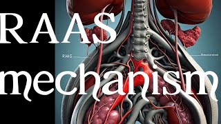 What is RAAS mechanismExplain RAAS mechanismphysiology RAAS mechanismRAAS mechanismraas [upl. by Ennaear]