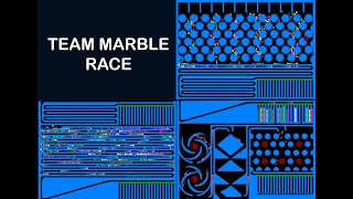 Team Marble Race in Algodoo [upl. by Hanad515]