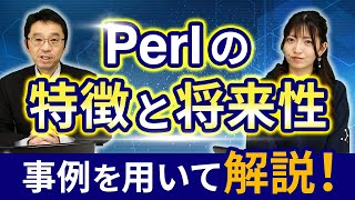 【徹底解説】Perlの特徴と将来性について [upl. by Bury197]