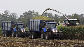 Harvesting Mais In The Mud  Claas Jaguar  New Holland  Modderen  Berkhof [upl. by Ciro218]