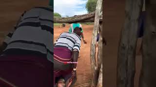 Traditional marriage preparation in a African tribe africantribe thepaktrekker [upl. by Norahc]