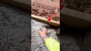 Cet homme a sauvé une grenouille bloquée dans le béton  🐸😨 [upl. by Marozik453]