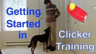 Getting Started with Clicker TrainingBasic Technique Tutorial for Beginners markertraining [upl. by Haddad119]