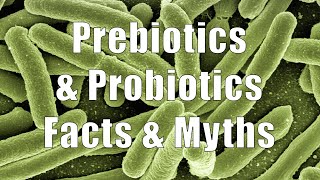 Prebiotics and Probiotics Facts amp Myths 700 Calorie Meals DiTuro Productions [upl. by Heywood863]