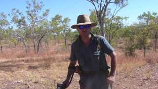 Gold Prospecting 6 Days in the North Queensland Goldfields Garrett AT Gold [upl. by Bricker]