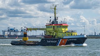 Over 3 hours of Shipspotting Rotterdam in august 2021  Hoek van Holland  Maasvlakte [upl. by Waal]