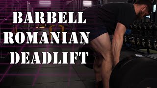 HOW TO PERFORM THE BARBELL RDL FOR MAXIMUM HAMSTRING HYPERTROPHY [upl. by Goeger]