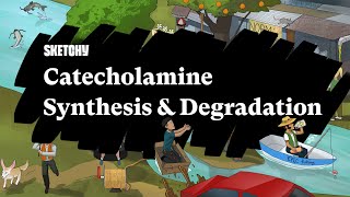 Catecholamine Synthesis amp Degradation Part 1  Sketchy Medical  USMLE Step 1 [upl. by Jean6]