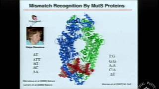 Genome Integrity and Cancer Prevention Molecular Mechanisms of DNA Repair [upl. by Osicran]