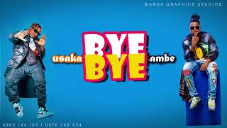 Bye Bye  Willz amp T Sean lyrics video1080p HD [upl. by Enrobyalc]