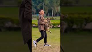 Tiger tiger tigercubs cute love youtube youtubeshorts youtuber shortvideo shortsvideo [upl. by Jana]