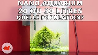 Nano aquarium quelle population [upl. by Meibers695]