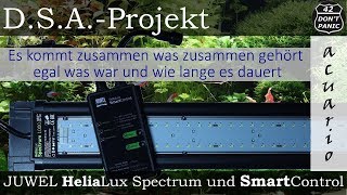 JUWEL HeliaLux Spectrum und SmartControl Beste LED Aquarien Beleuchtung  DSAProjekt [upl. by Llenrad]