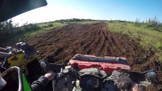 Yamaha Grizzly 700 vs Can Am Outlander 650 bog drag [upl. by Gavan869]