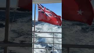 red flagged antipodean ship flag newzealand [upl. by Balliol619]