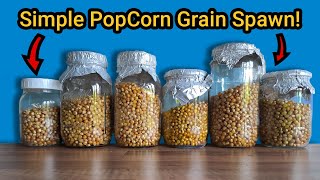 How to Make Popcorn Grain Spawn  No Nonsense Preparation [upl. by Schaeffer]