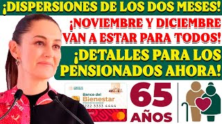 🤔💵¡TODOS LOS DETALLES SOBRE LOS ULTIMOS PAGOS DEL AÑO PARA LOS PENSIONADOS🤔💵 [upl. by Doug]