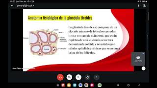 Endocrinología 29 tiroides [upl. by Adnileb]