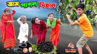 জাম পাগল দিহান  jam pagol dihan  bengali fairy tales  dihan  bihar  dihan natok [upl. by Ynamreg]