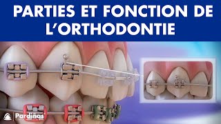 Appareil dentaire – Parties et fonction de l’orthodontie © [upl. by Anidualc]