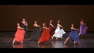 Flamenco  quotBailandoquot ShakallisDance2014 [upl. by Repip398]