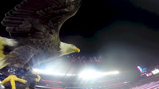 Challenger Soars at Philly Eagles Military Appreciation Game 2014 [upl. by Weiss]