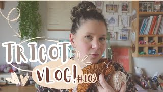 Test Knit châle Oberon et Pigneto Socks  Vlog Tricot 103 [upl. by Nayhr]