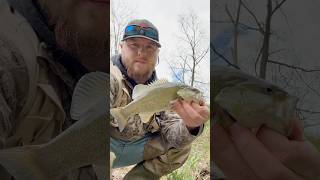 October Creek Fishing fishing fishingvideo outdoors creek bassfishing youtubeshorts shorts [upl. by Lamrert]