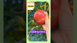 KHASIAT BUAH DELIMA manfaatheraherbal manfaatbuah khasiatbuah buah sayur manfaat [upl. by Eenimod]