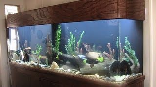 275 Gallon Acrylic Aquarium  Setup Cost and Review Plus Maintenance tips [upl. by Ellesirg]