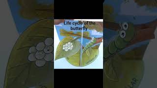 Life cycles of the butterfly [upl. by Sibel386]