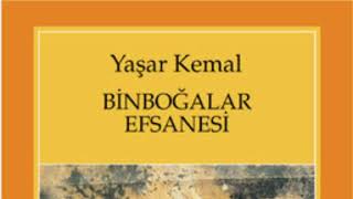 Yaşar kemal🌺Binboğalar efsanesi🌺 PART 9 roman seslikitap yaşarkemal чтение [upl. by Albright]