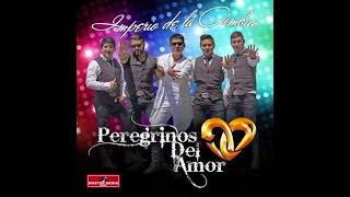 mix peregrinos del amor en vivo MixDj Oscar [upl. by Altis]