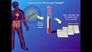 Viral Load and Monitoring [upl. by Audri]