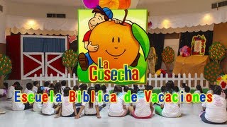 La Cosecha  Escuela Biblica de Vacaciones 2013 [upl. by Eima481]