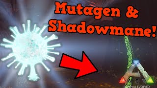 How to Gather Mutagel the Correct Way amp Shadowmane Tame  ARK Survival Evolved Genesis 2 DLC [upl. by Ennayelsel999]