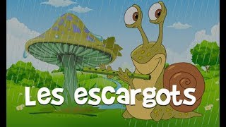 Les escargots  chanson pour enfants [upl. by Gena]