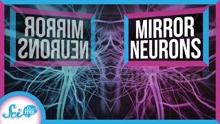 What Do Mirror Neurons Really Do [upl. by Llevrac]