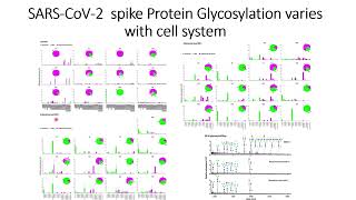 SARSCoV2 Spike protein glycosylation varies with different cell system Code 306 [upl. by Cirone]