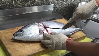 How to Make Perfect Skipjack Tuna Sashimi – Ocean to Plate Experience [upl. by Avrit]