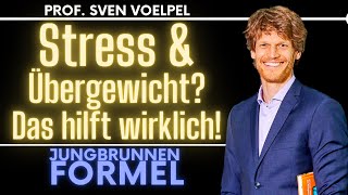 Was hilft gegen Übergewicht amp Stress  Jungbrunnen Entspannen lernen Prof Sven Voelpel [upl. by Gerdi]