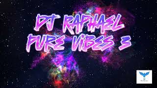 Dj Raphael Pure Vibes 3 Mix [upl. by Ifen]