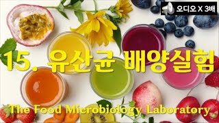 식품미생물 실험Food Microbiology Laboratory 15유산균의 배양실험시판 유제품에서 분리한 유산균을 이용해 멸균유에 배양 젖산균 개요 나래이션X3배 [upl. by Aemat]