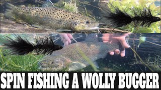 How To Catch Trout On Woolly Bugger Streamer Fly Fishing On Spinning Gear [upl. by Alaehcim949]