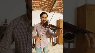 Following the Sun  SUPER Hi NEEKA Violin Cover [upl. by Annahvas]