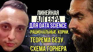 Рациональные корниТеорема БезуСхема ГорнераЛинейная алгебра для машинного обученияанализа данных [upl. by Anihc]