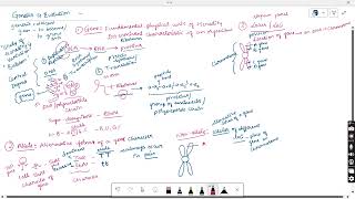 GENETIC TERMINOLOGY PRINCIPLES OF INHERITANCE amp VARIATION CLASS 12 NCERT [upl. by Ahsac]