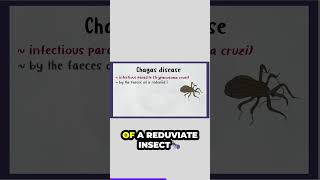 Chagas disease pathophysiology symptoms amp treatment microbiology101 bacterialinfection edushorts [upl. by Peednus406]