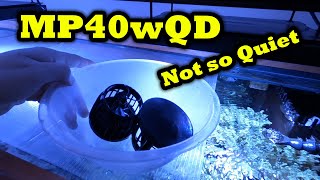 Ecotech Vortech MP40 MP40wQD Quiet Drive  Not so Quiet  DiY HOW TO Clean  Maintain [upl. by Allenrad245]